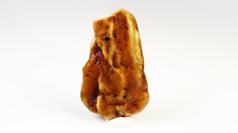 Baltischer Bernstein 12,7 Gramm