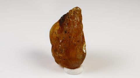 Rohbernstein