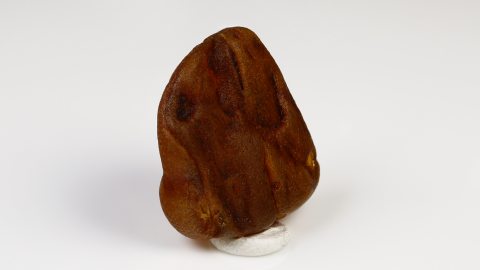 Rohbernstein
