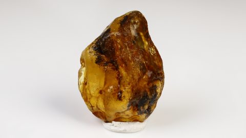 Baltischer Bernstein