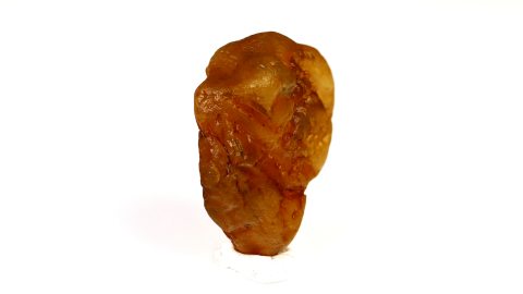 Rohbernstein