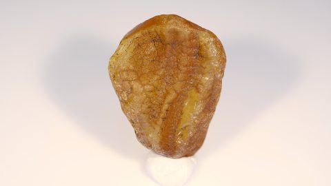 Baltischer Bernstein