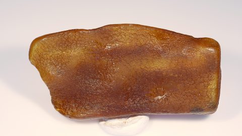 Baltischer Bernstein