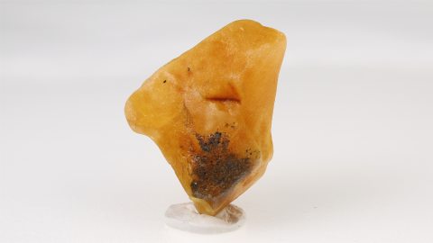 Baltischer Bernstein