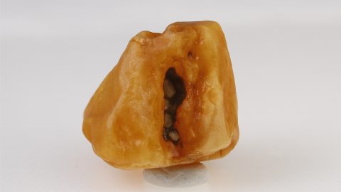 Baltischer Bernstein