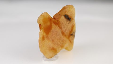 Baltischer Bernstein