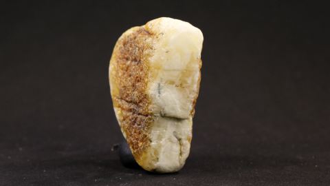 Bernstein weiß, weißer Bernstein