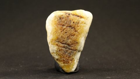 Bernstein weiß, weißer Bernstein