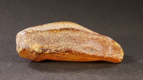 Bernstein Füllung, Harzfüllung