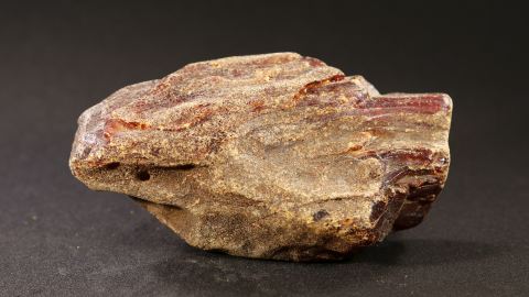 Schlaubenbernstein rot