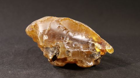 Schlaubenbernstein 28,8