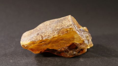 Schlaubenbernstein 28,8