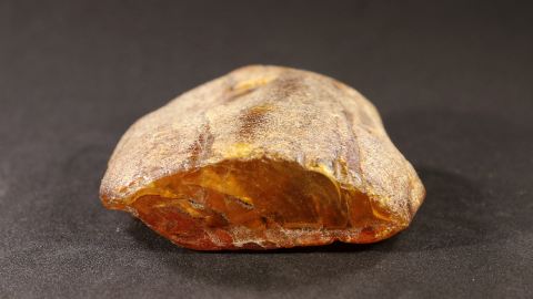 Bernstein Zapfen 23,3 Gramm