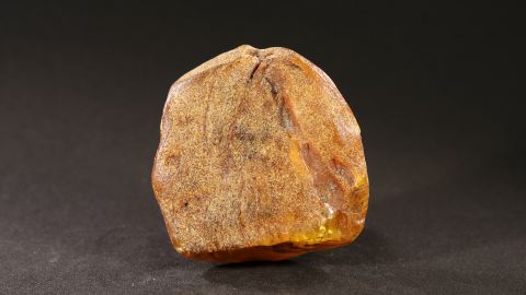 Bernstein Zapfen 23,3 Gramm