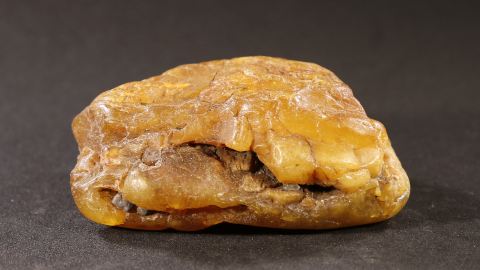 Bernstein Schlaube 25,2 Gramm