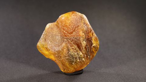 Bernstein Stalaktitentropfen 28,3 Gramm