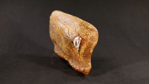 Bernstein Stalaktiten-Schlaube20,8 Gramm