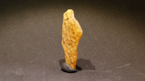 Madagaskar Kopal, Schlaubenzapfenn