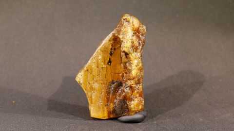 Baltischer Bernstein, Rohbernstein unbehandelt 23,0 Gramm, Harztasche