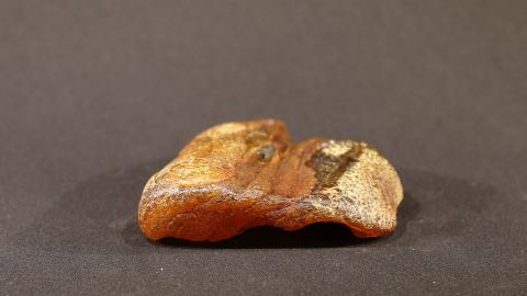 Baltischer Bernstein, Rohbernstein unbehandelt, Schlaubenzapfenn