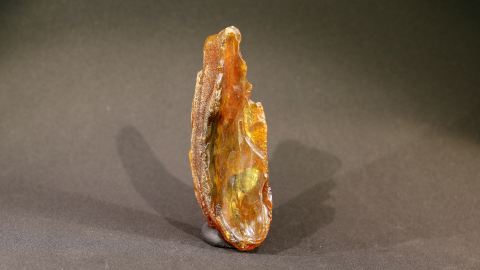 Bernstein, Stalaktitenschlaube