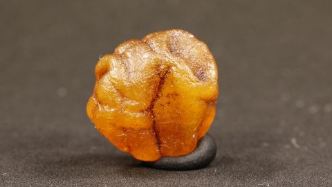 Bernstein Tropfen