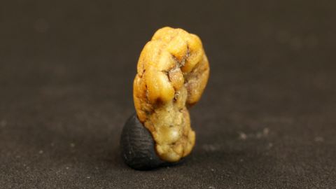 Bernsteintropfen 0,67 Gramm