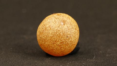 Bernsteintropfen