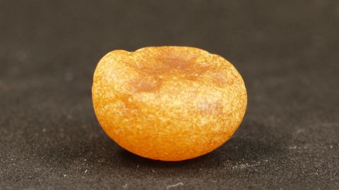 Bernstein Tropfen, Bernsteintropfen