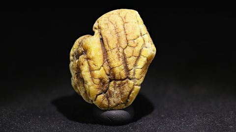 Baltischer Bernstein