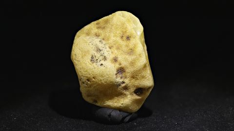 Baltischer Bernstein