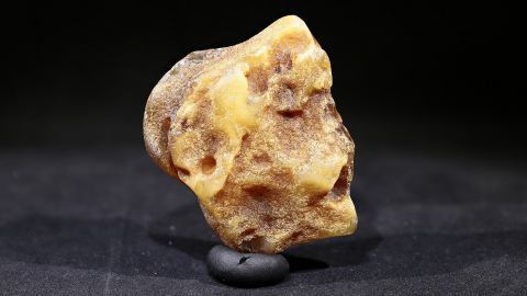 Baltischer Bernstein