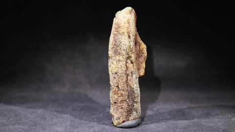 Baltischer Bernstein