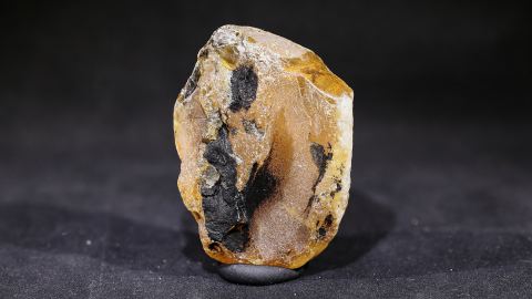 Rohbernstein mit verkohlten Holzresten