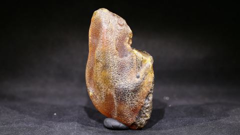 Baltischer Bernstein