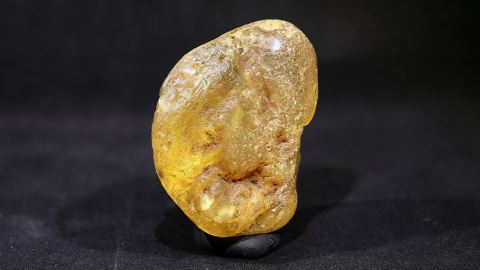 Harztasche Bernstein