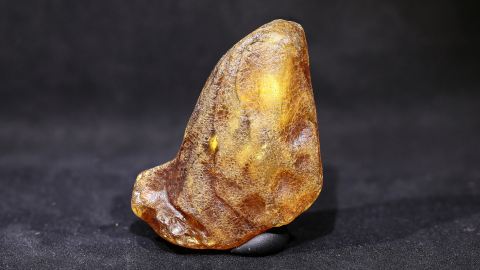 Baltischer Bernstein