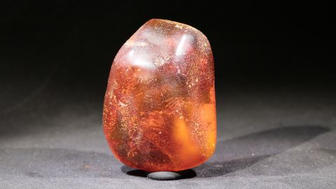 Großer Baltischer Bernstein