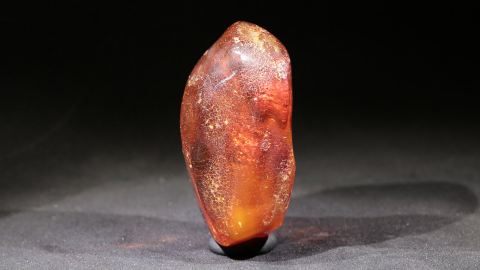 Bernstein cognac rot