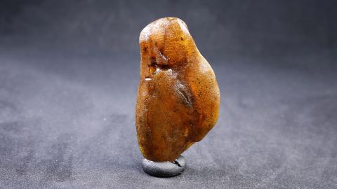 Baltischer Bernstein