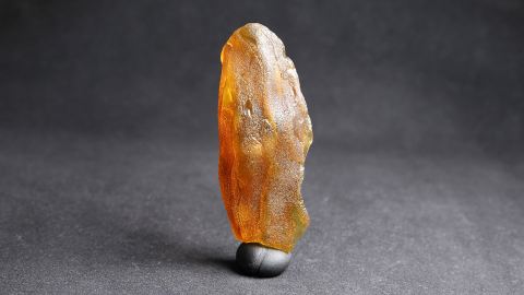 Baltischer Bernstein