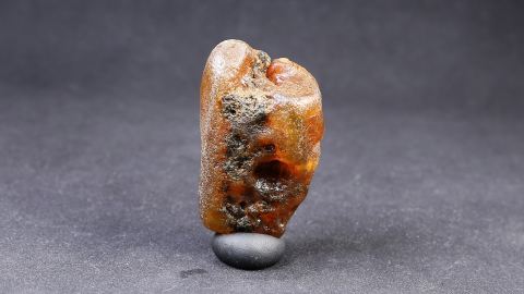 Baltischer Rohbernstein