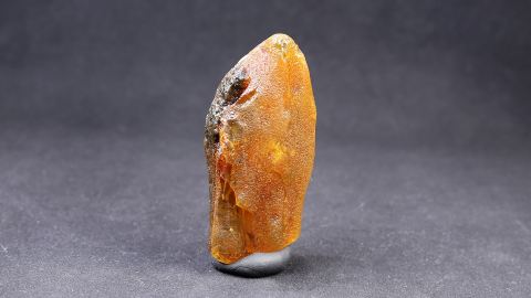 Baltischer Bernstein