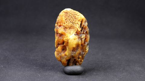 Baltischer Rohbernstein