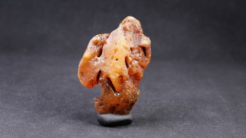 Baltischer Bernstein