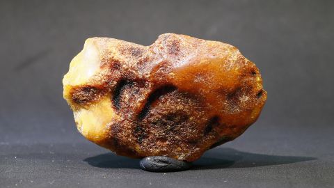 Bitterfelder Bernstein