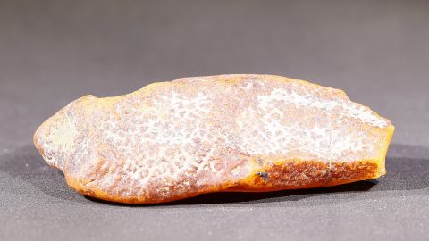 Sächsischer Bernstein