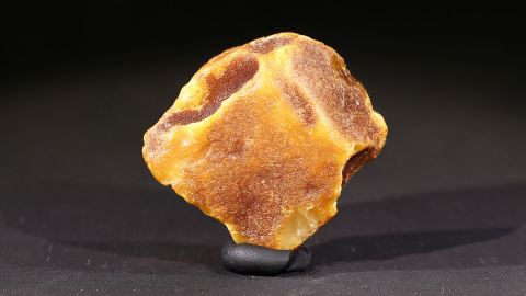 Bitterfelder Bernstein