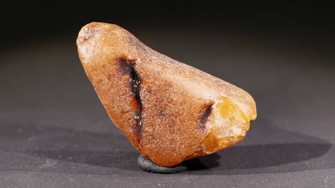 Bitterfelder Bernstein