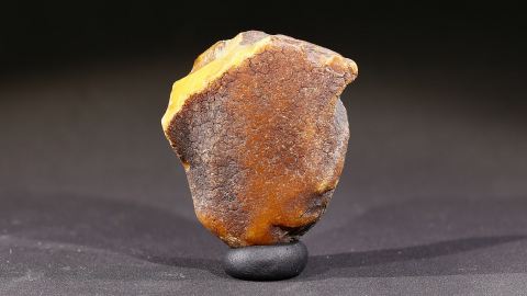 Rohbernstein Stalaktitenschlaube